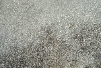 Thin finely cracked crystal ice in a puddle closeup