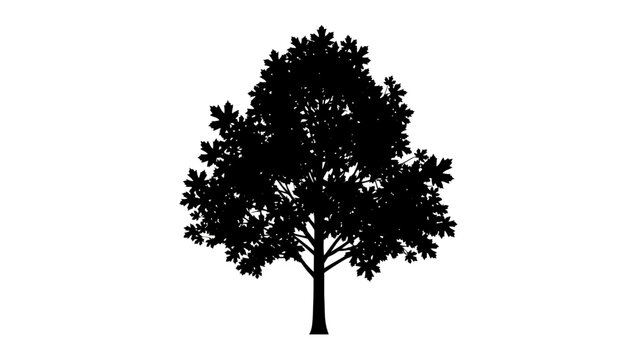Silhouette of a tree with dense foliage against a white background.