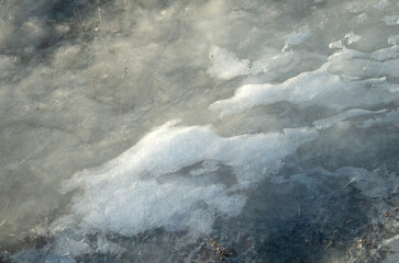 Ice with blades of grass on meadow in winter closeup