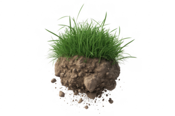 Green grass and soil chunk with dirt particles isolated on a transparent background