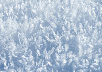Obraz premium Close up macro of ice flakes, ice crystals, also known as frost
