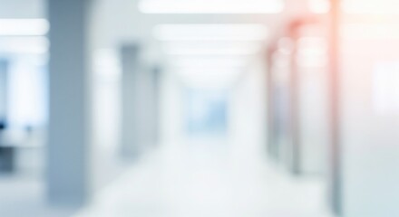 Abstract Office Hallway: An intentionally blurred shot, highlighting the clean lines and contemporary design of an office hallway bathed in soft, natural light.