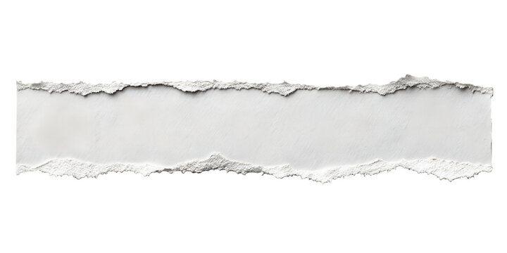 A horizontal white paper strip shows rough, torn and jagged edges, isolated perfectly for use on a transparent background