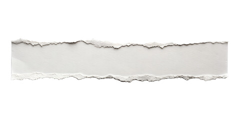 A horizontal white paper strip with rough, torn edges is displayed as an isolated element, ready for placement on any transparent background