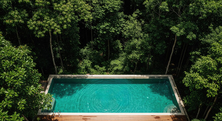 Tranquil Pool Amidst Canopy: An overhead perspective captures the serenity of a rectangular pool, inviting and pristine, surrounded by a lush forest canopy.