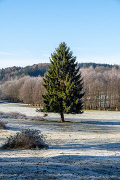 Bereifte Landschaft bei Lobendava im Norden Tschechiens 3