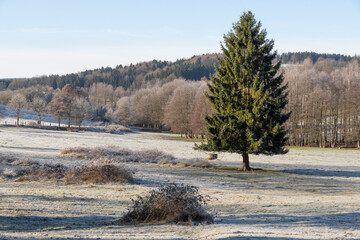 Bereifte Landschaft bei Lobendava im Norden Tschechiens 2
