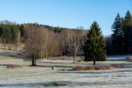 Bereifte Landschaft bei Lobendava im Norden Tschechiens 1
