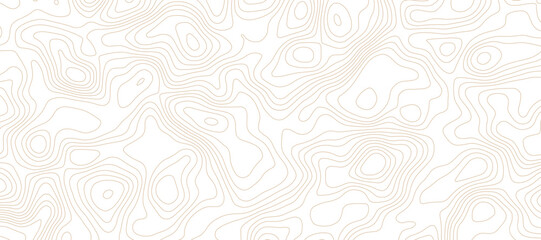 Abstract digital modern  Colorful topography pattern lines sea map area space geometric strip grid line topo map technology modern design white background.