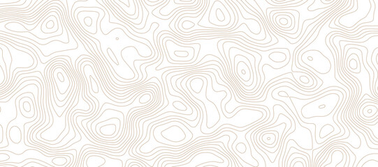 Abstract digital modern  Colorful topography pattern lines sea map area space geometric strip grid line topo map technology modern design white background.