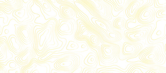 Abstract topography pattern lines sea map area space geometric strip yellow color grid line topo map white background. Use for template, wallpaper, web vector illustration.