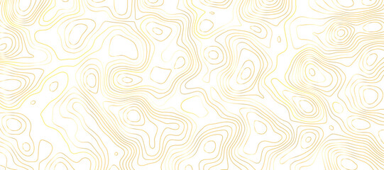 Abstract topography pattern lines sea map area space geometric strip yellow color grid line topo map white background. Use for template, wallpaper, web vector illustration.