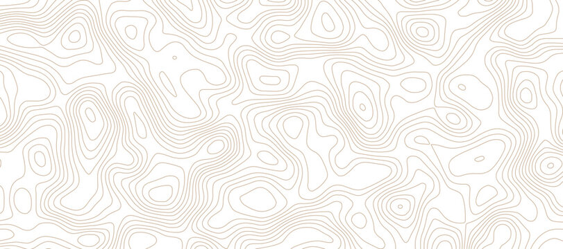Abstract digital modern  Colorful topography pattern lines sea map area space geometric strip grid line topo map technology modern design white background.