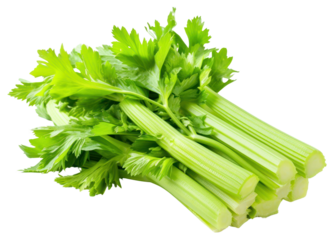 PNG Fresh celery stick vegetable parsley plant.