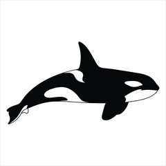 Obraz premium silhouette of a shark