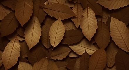 Autumnal Brown Leaves - A Detailed Close-Up.