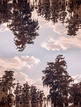 Lake Martin - Louisiana 