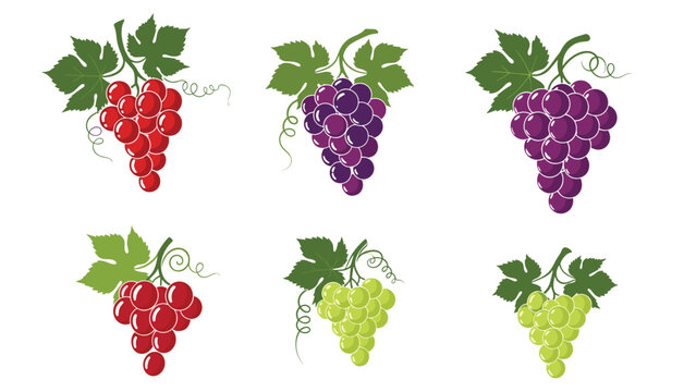 Diverse collection of grape bunches in various colors including red, purple, and green, perfect for vineyard or fruit branding.