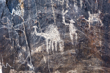 Nurata, Uzbekistan - 14 August 2025: ancient stone carvings in the Nurata desert