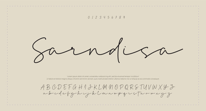Elegant Script Font Alphabet Typography 