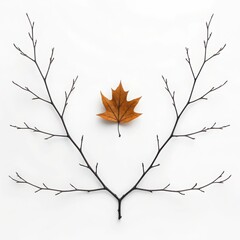 Delicate autumn leaf suspended between bare branches evoking seasonal change and nature