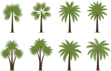 Obraz premium Palm Tree Vector Set Featuring Tropical Plants and Green Foliage in Flat Botanical Illustration Style