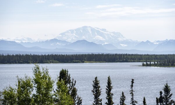 Lake Willow Lake, taiga landscape with high glaciated mountain peak Mount Blackburn, Wrangell Mountains, Alaska, USA
