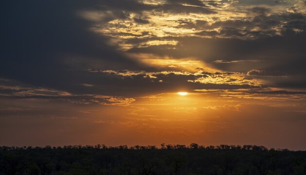 Impressive sunset over the African savanna, silhouette of the horizon with trees in front of the sun, at Halali waterhole, Etosha National Park, Namibia