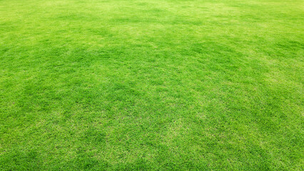 Green grass texture background, grass garden concept used for making green background football pitch, Grass Golf, green lawn pattern textured