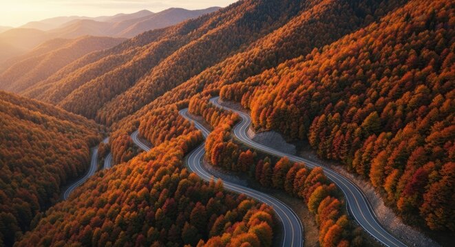 Winding road through autumn forest vista - Powered by Adobe