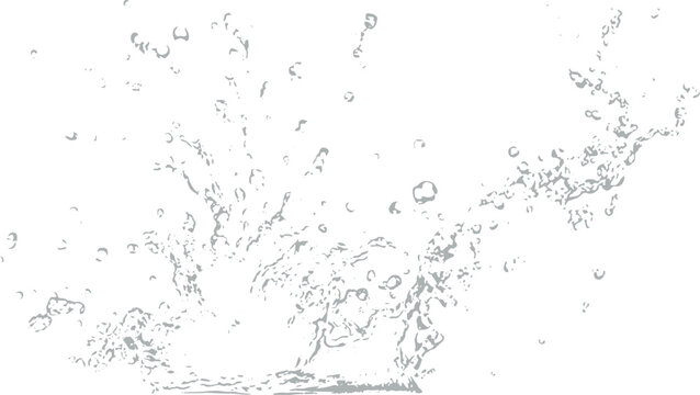 Clear water splash isolated on white background. High speed liquid motion with droplets and dynamic flow. Fresh transparent splash effect for clean design and concepts.