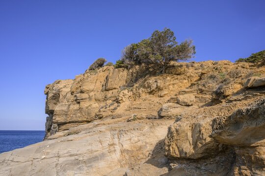Bizarre rock formations in the Buca delle Fate, Populonia, Piombino, province of Livorno, Italy