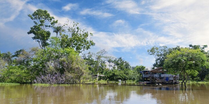 Houses on stilts in the flooded forest along the Rio Negro, Manaus, Amazonia State, Brazil