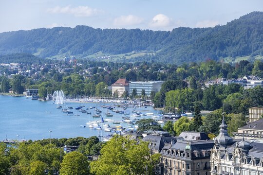 Lake Zurich with pension meadow, city view, city centre, Zurich, Switzerland