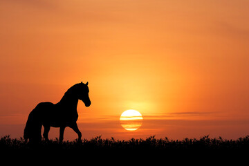 A silhouette of a horse standing gracefully against a vibrant sunset. The horse is a dark silhouette, emphasizing its majestic form against the bright sky
