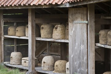 Ancient apiary with beehives, Emsland, Lower Saxony, Germany