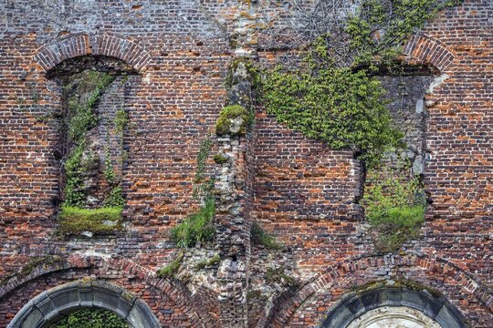 Ruin of the former abbey of Aulne, Abbay d'Aulne, close-up, near Thuin, province of Hainaut, Belgium