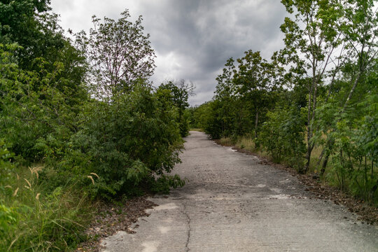 strada di cemento abbandonata in mezzo alla fitta vegetazione collinare in Italia, di giorno, con cielo nuvoloso, in estate
