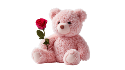 Pink teddy bear holding a red rose isolated on transparent background sweetly