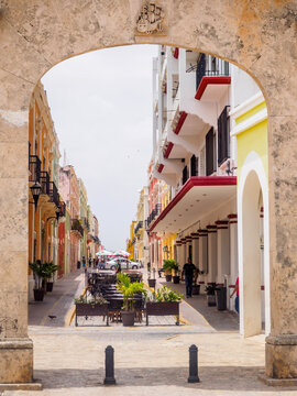 Puerta de Mar, Campeche, Caille 59, format portrait