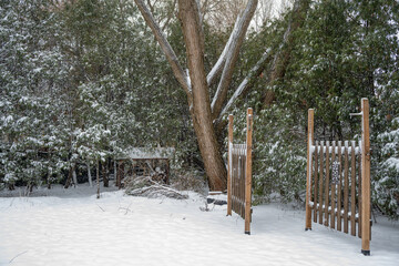Snowy winter landscape with wooden privacy walls surrounded by conifers during a light snowfall