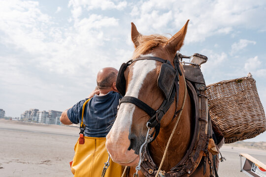 Oostduinkerke Paardevisser, garnaalvisser, kust belgie, unesco werelderfgoed