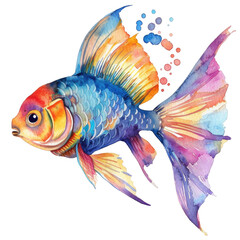 Fototapeta premium Colorful goldfish swimming gracefully in vibrant hues with a transparent background, showcasing unique aquatic beauty