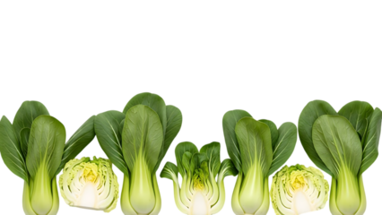 a collection of bok choy vegetables displayed on transparent background
