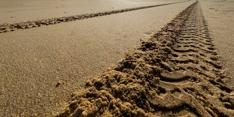 Tire tracks on the sand