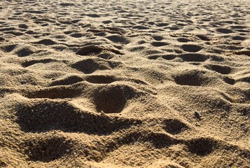 Foot prints at the beach