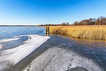 Schilf und Dalben am Bodden bei Wieck auf dem Fischland-Dar&szlig; im Winter