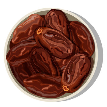 Dried Dates Palm Fruit in a Bowl Top View Vector Illustration for Ramadan Iftar and Healthy Snacking