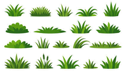 Obraz premium Grass vector collection. Set of cartoon grass tufts and lawn elements for nature scenes isolated on white