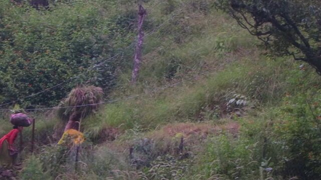 Rural Women Carrying Heavy Grass on Steep Mountain Path